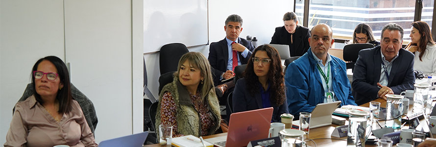 Junta Directiva Ordinaria de la RAP-E Región Central