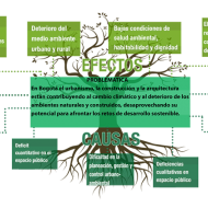 Efectos y causas de la problemática actual