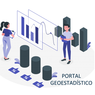 PORTAL GEOESTADÍSTICO D.C.
