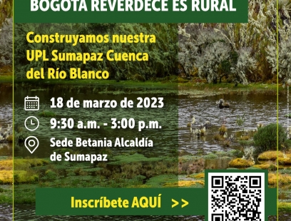 Paisaje de páramo