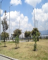 Imagen de un parque con zonas verdes y árboles, al lado izquierdo un paso peatonal en adoquín 