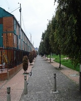 Camino peatonal, con sendero árboles, a la derecha, que rodean un parque con zona verde, además tiene bolardo que evitan el paso de vehículos, de mano izquierda se encuentran con junto Residencial de viviendas. 