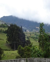Imagen de un paisaje con cerros verdes y varios árboles 