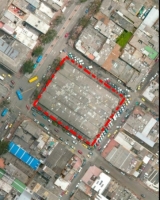 Imagen aérea satelital, con el polígono de intervención del Plan de Regularización y Manejo 
