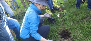 Secretaria distrital de Planeción, María Mercedes Jaramillo, sembrando un árbol
