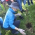 Secretaria distrital de Planeción, María Mercedes Jaramillo, sembrando un árbol