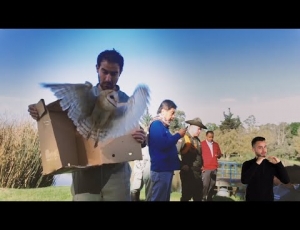Embedded thumbnail
