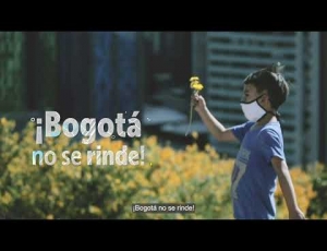 Embedded thumbnail