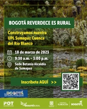 Paisaje de páramo
