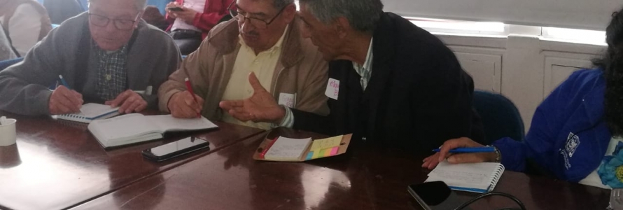 Grupo focal adulto mayor - 2
