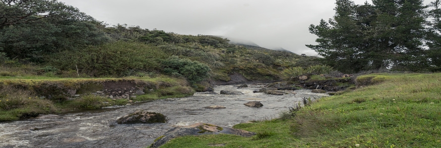 Río en el Páramo de Sumapaz