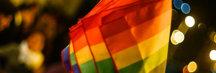 Plan Distrital de Desarrollo en pro de la garantía de los derechos de las personas de los sectores LGBTI en Bogotá