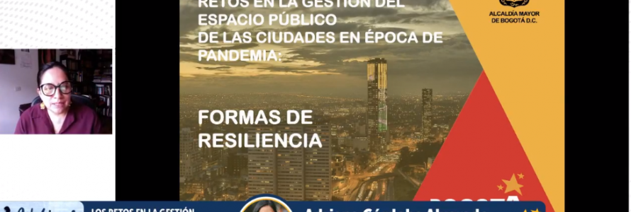 Webinar espacio público