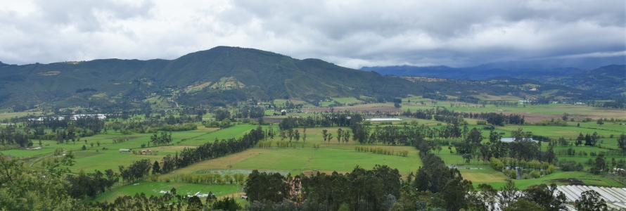 Panorámica zona rural