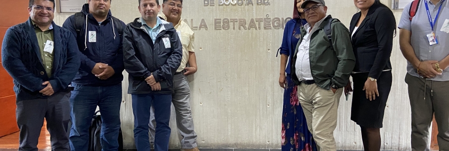 Consejales de Chile en la Alcaldía Mayor de Bogotá