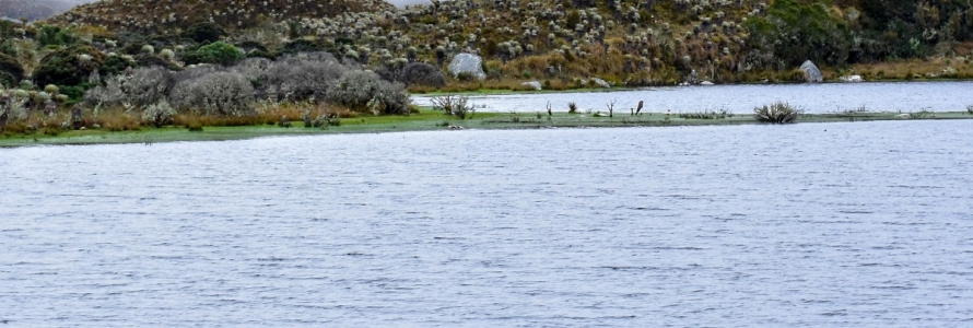 Páramo de Sumapaz