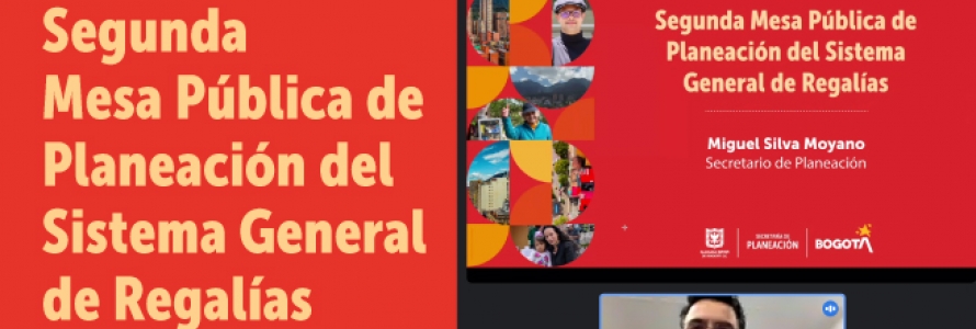 Secretario Distritla de Planeación, Miguel Silva conectado a través de Meet
