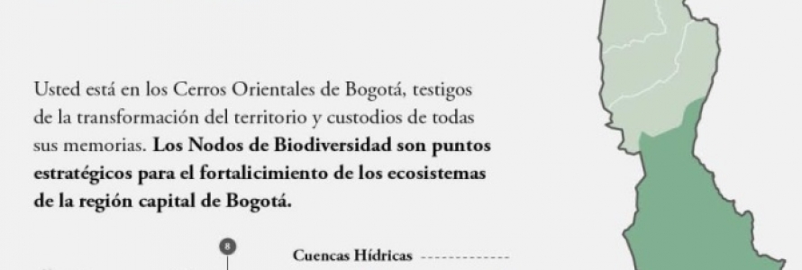 Nodos biodiversidad