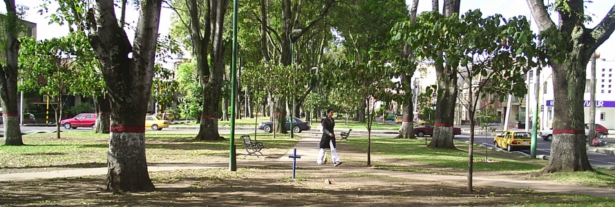 Parque Teusaquillo