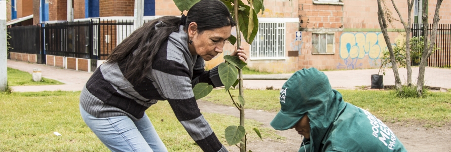 Ciudadanos plantando arboles con el distrito