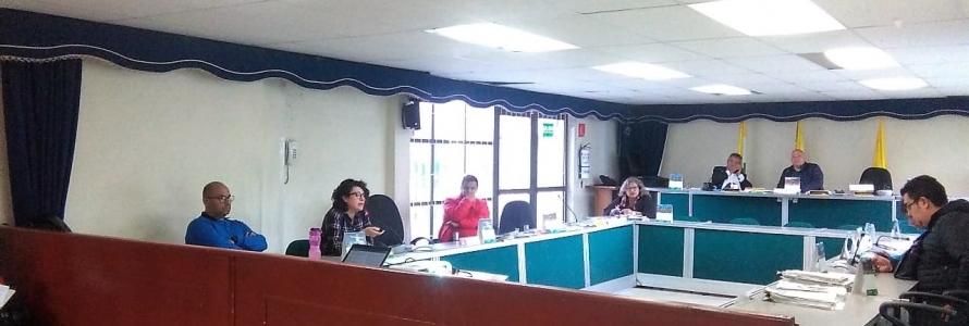 Catalina Bejarano Directora de Participación de la SDP