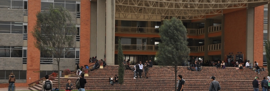 Bajo la óptica del POT, la academia expuso su visión de ciudad