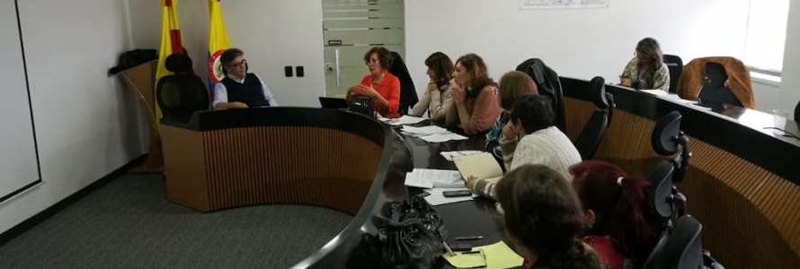 Organizaciones de Mujeres se reúnen con la SDP para hacer aportes a la propuesta de POT