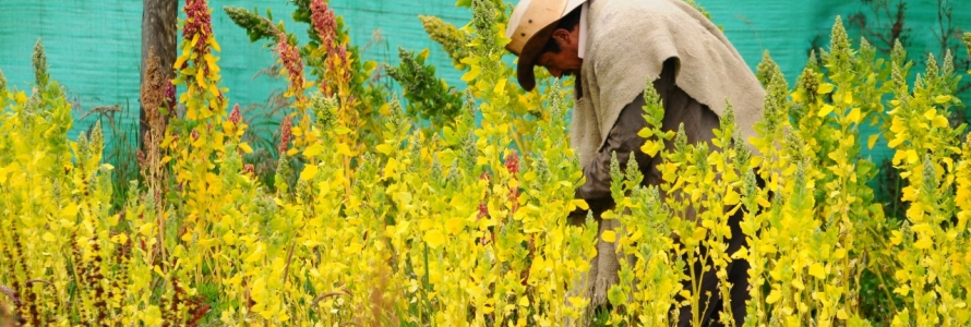 Protección ambiental y Legalización de Barrios, entre las propuestas de la ruralidad de Usaquén para el POT