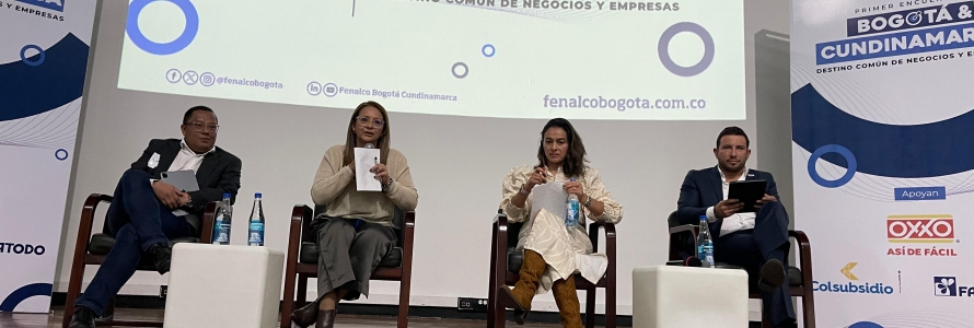 Subsecretario de Políticas Públicas, y Planeación Social y Económica, en encuentro Bogotá y Cundinamarca.