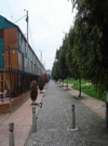 Camino peatonal, con sendero árboles, a la derecha, que rodean un parque con zona verde, además tiene bolardo que evitan el paso de vehículos, de mano izquierda se encuentran con junto Residencial de viviendas. 